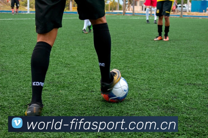 FIFA官方数据授权认证
